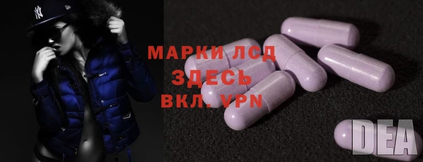 прущие грибы Алексеевка