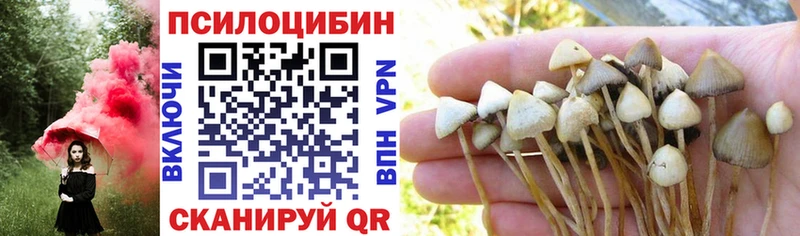 Галлюциногенные грибы мицелий  маркетплейс состав  Алдан 